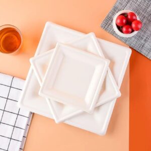 Compostable Square Bagasse Disposable Plate 6"