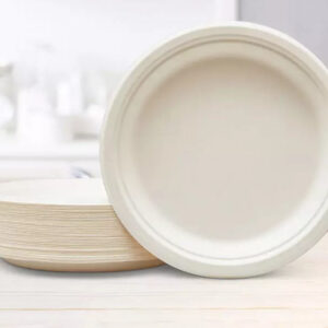 Eco-Friendly 9” Disposable Sugarcane Plates 100 Pack – Natural Beige-White, Microwave-Safe, Leak-Resistant, Compostable & Plastic-Free for Parties and Catering, Sturdy and Perfect for any Family events