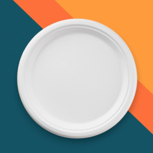9" Disposable Round Bagasse Plate - Compostable & Eco-friendly