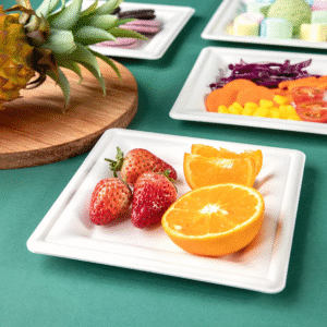 25cm (10") Compostable Square Bagasse Disposable Plates