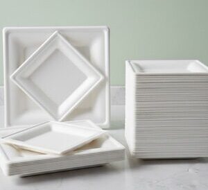 Compostable 6inch Square Bagasse Disposable Plate