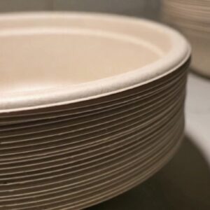 9" Disposable Round Bagasse Plate - Compostable & Eco-friendly