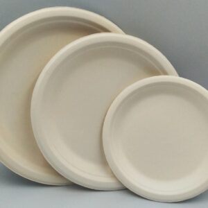 9" Brown Disposable Round Bagasse Plate - Compostable & Eco-friendly